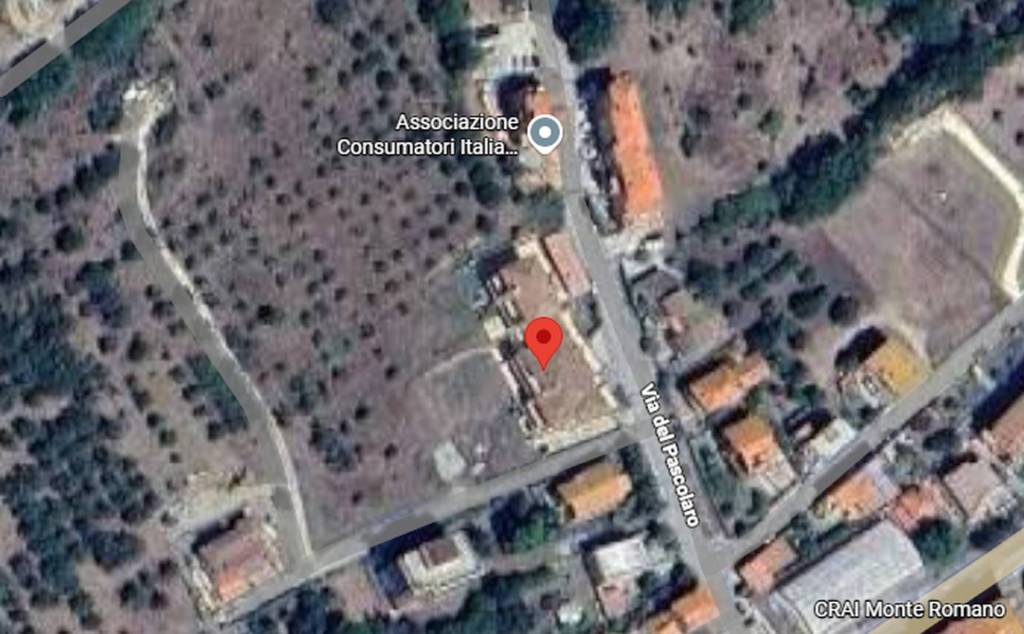 immagine annuncio 3 di 11