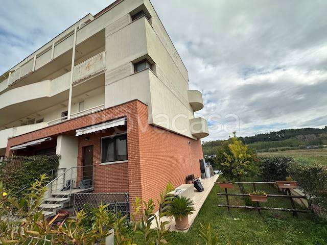 immagine annuncio 3 di 14