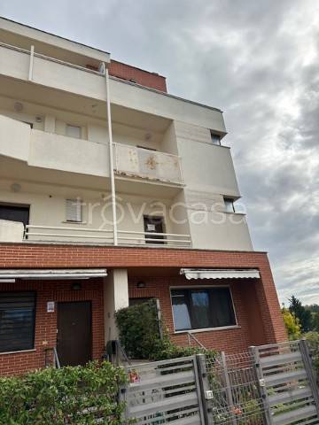 immagine annuncio 4 di 14