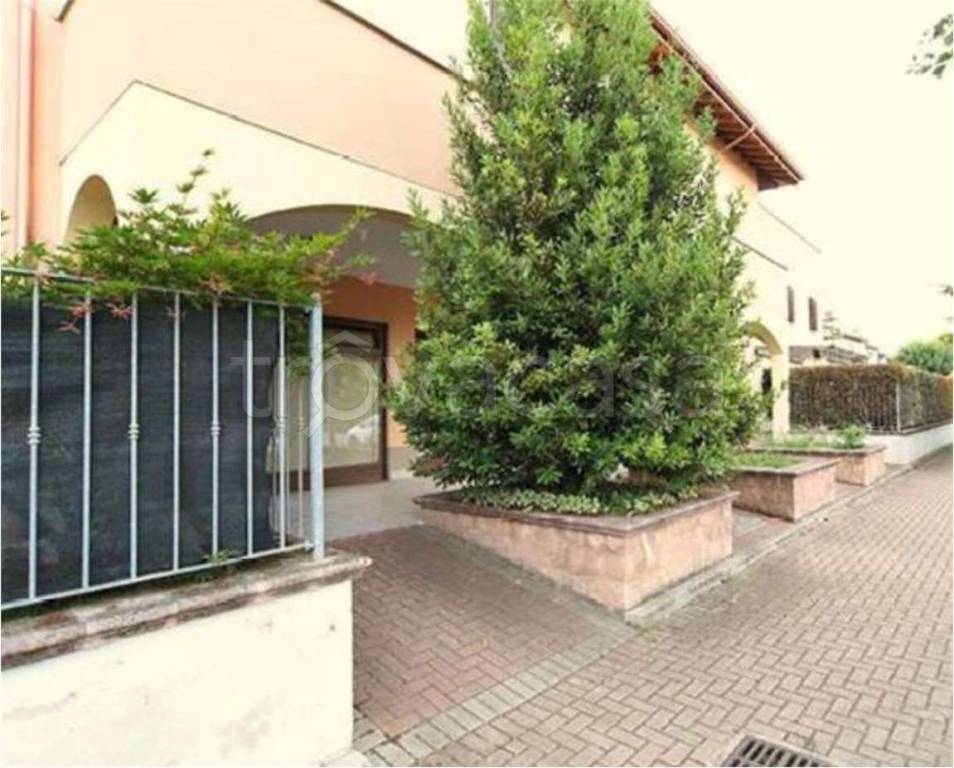 immagine annuncio 3 di 15