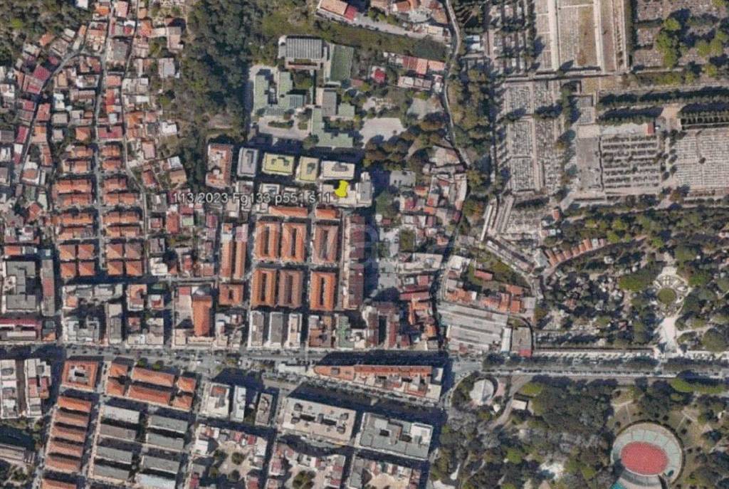 immagine annuncio 6 di 11