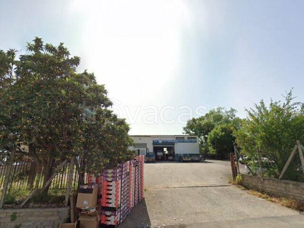 immagine annuncio 12 di 13