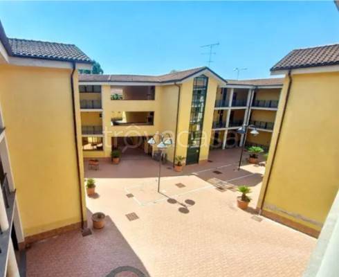 immagine annuncio 2 di 14