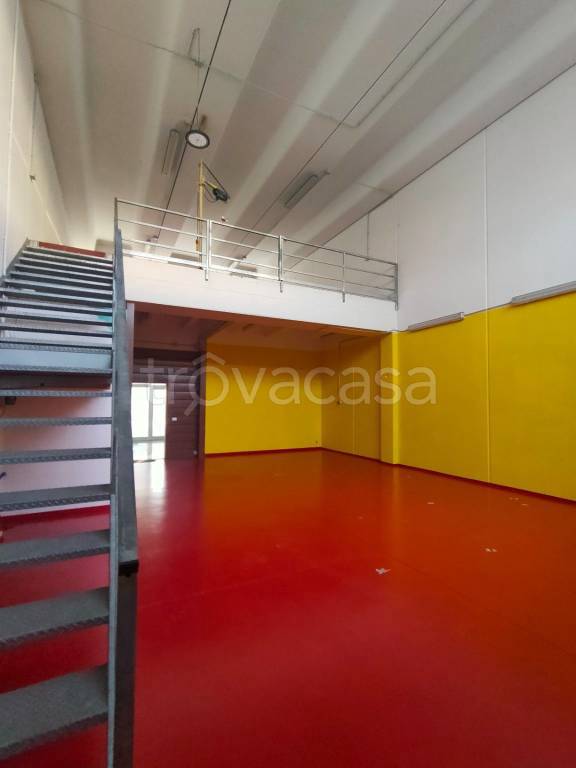 immagine annuncio 7 di 15