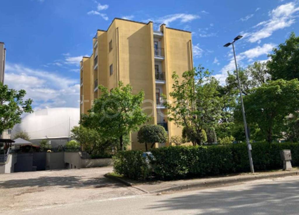 immagine annuncio 9 di 10