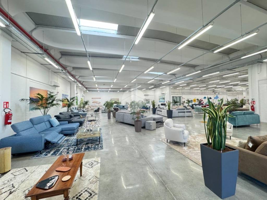 immagine annuncio 3 di 10