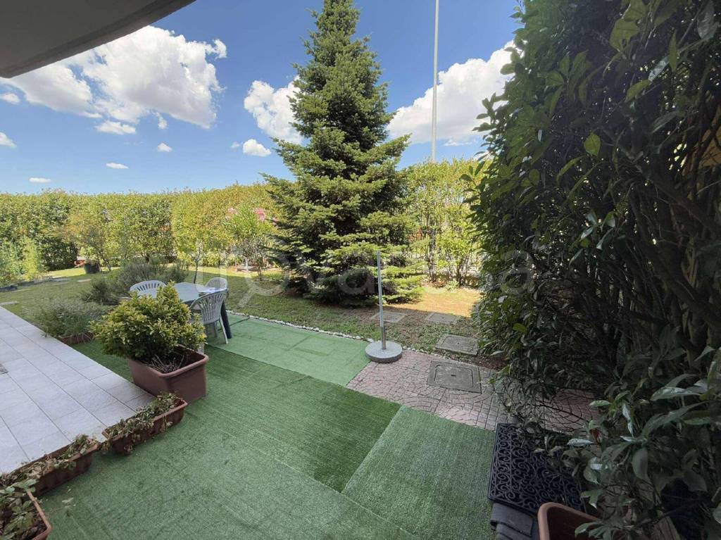 immagine annuncio 6 di 14