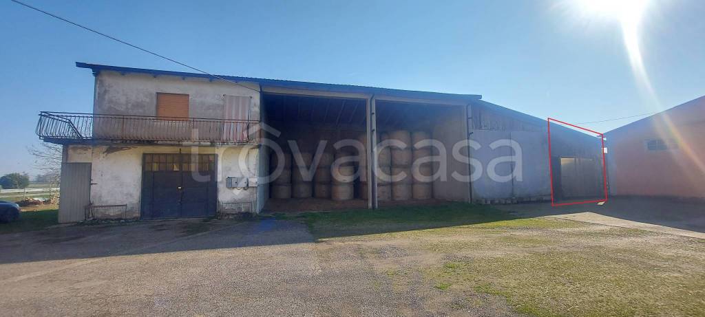 immagine annuncio 4 di 14