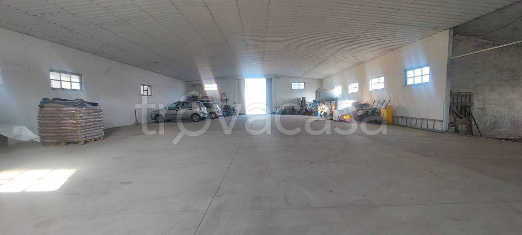 immagine annuncio 6 di 14