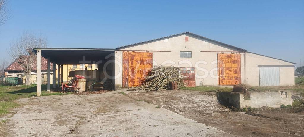 immagine annuncio 9 di 14