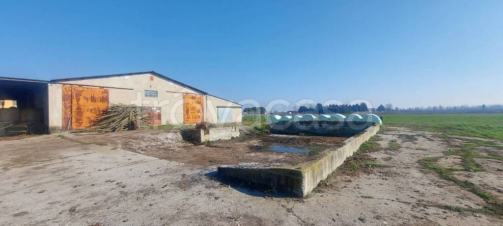 immagine annuncio 10 di 14