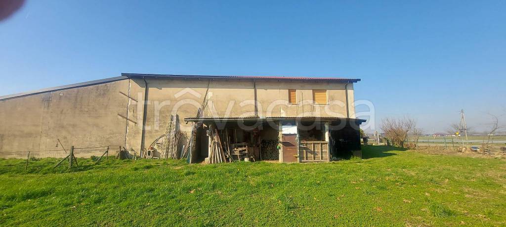 immagine annuncio 12 di 14