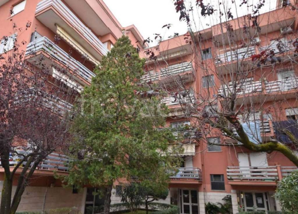 immagine annuncio 7 di 11