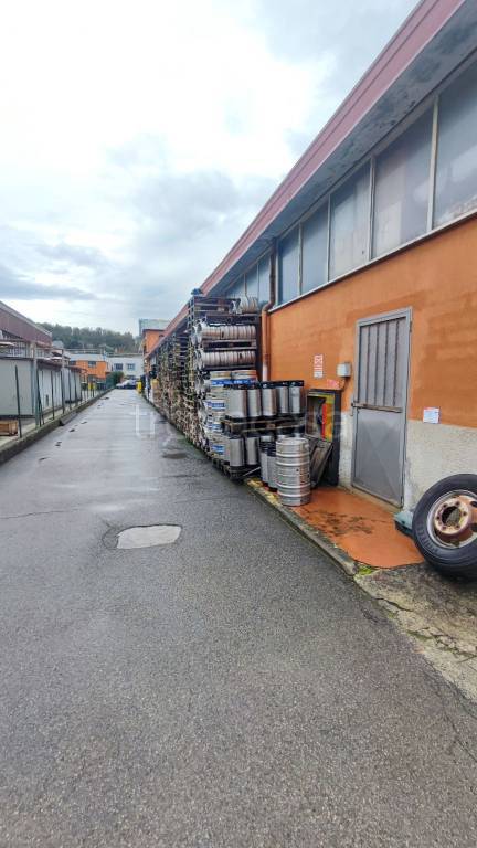 immagine annuncio 14 di 15