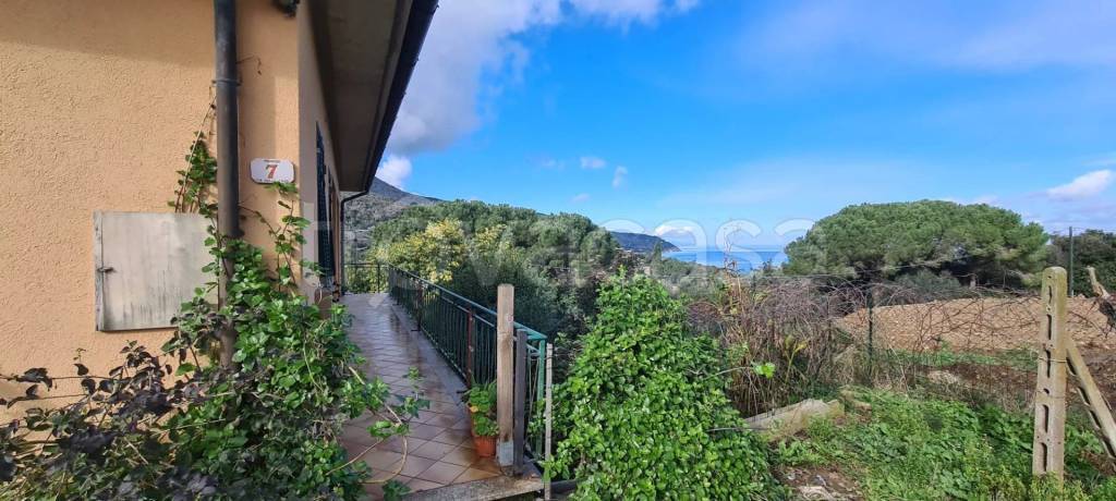 immagine annuncio 4 di 14