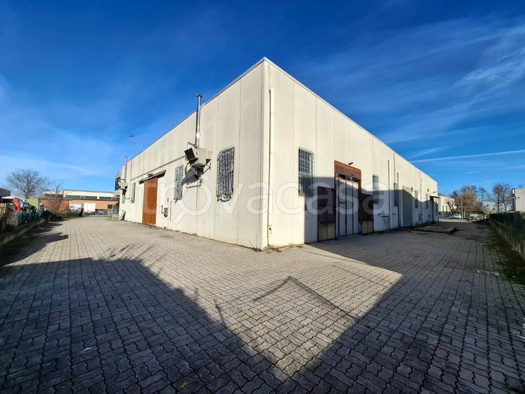 immagine annuncio 3 di 15