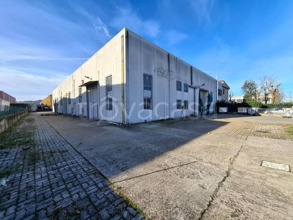 immagine annuncio 7 di 15