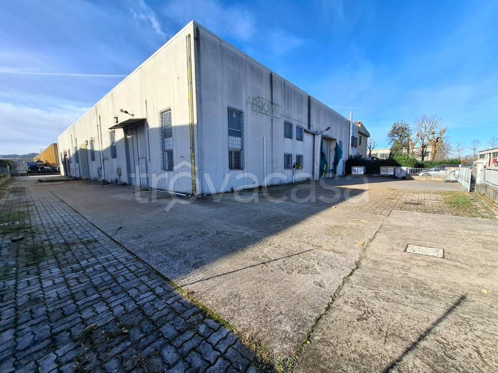 immagine annuncio 12 di 15