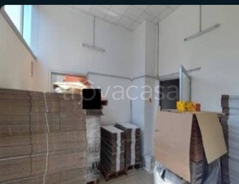 immagine annuncio 4 di 11