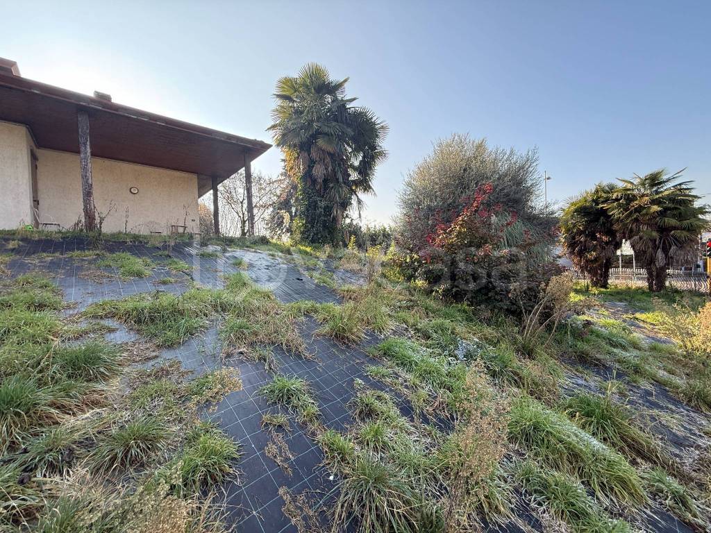 immagine annuncio 4 di 6