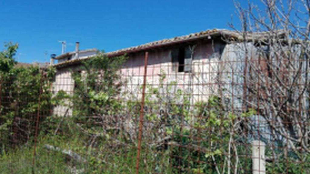 immagine annuncio 8 di 11