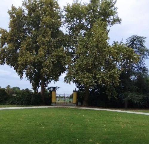 immagine annuncio 9 di 11