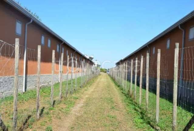 immagine annuncio 2 di 9