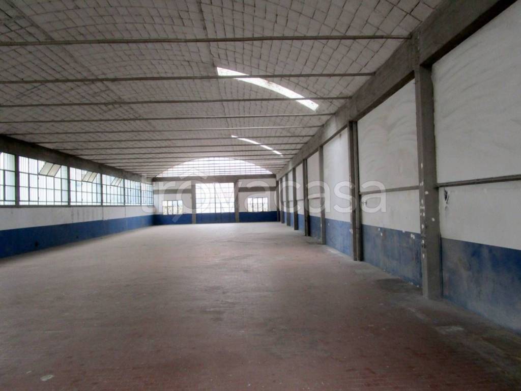 immagine annuncio 2 di 6