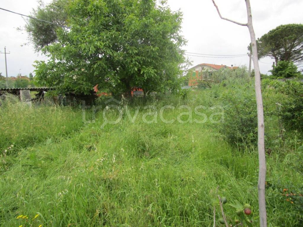 immagine annuncio 3 di 6