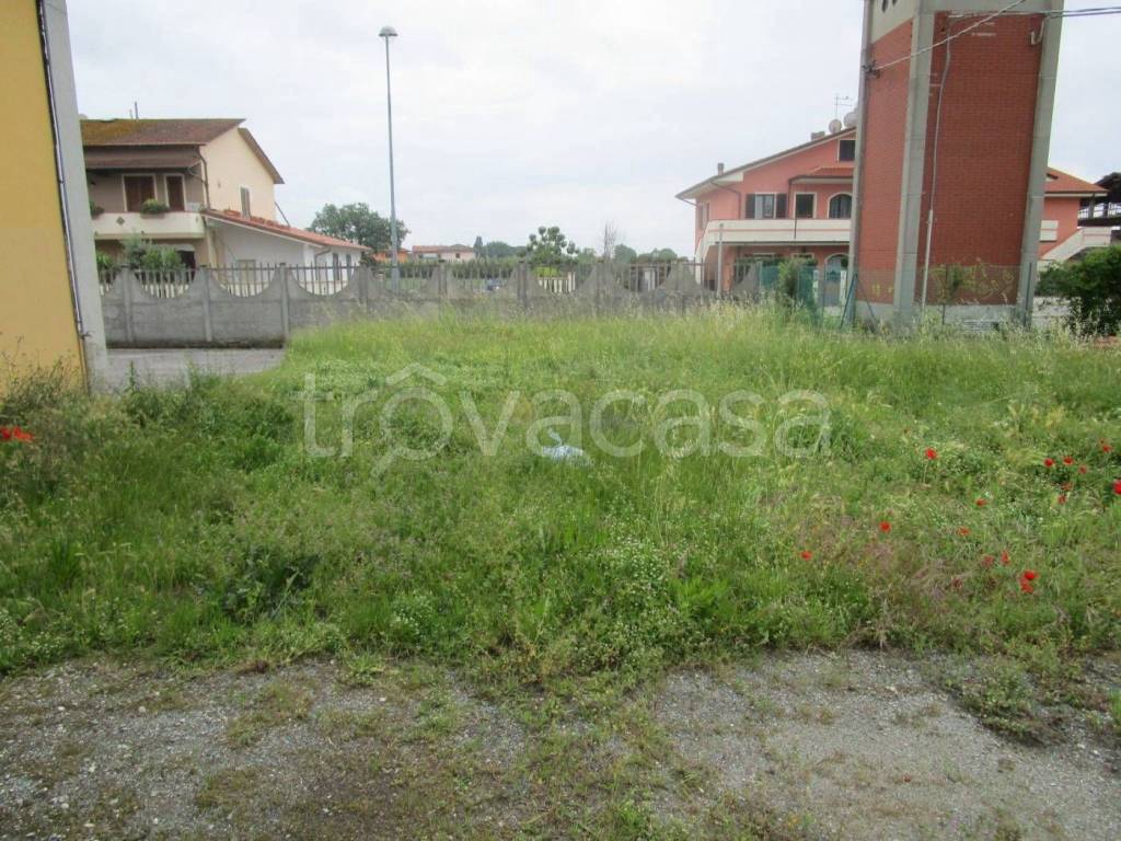 immagine annuncio 4 di 6