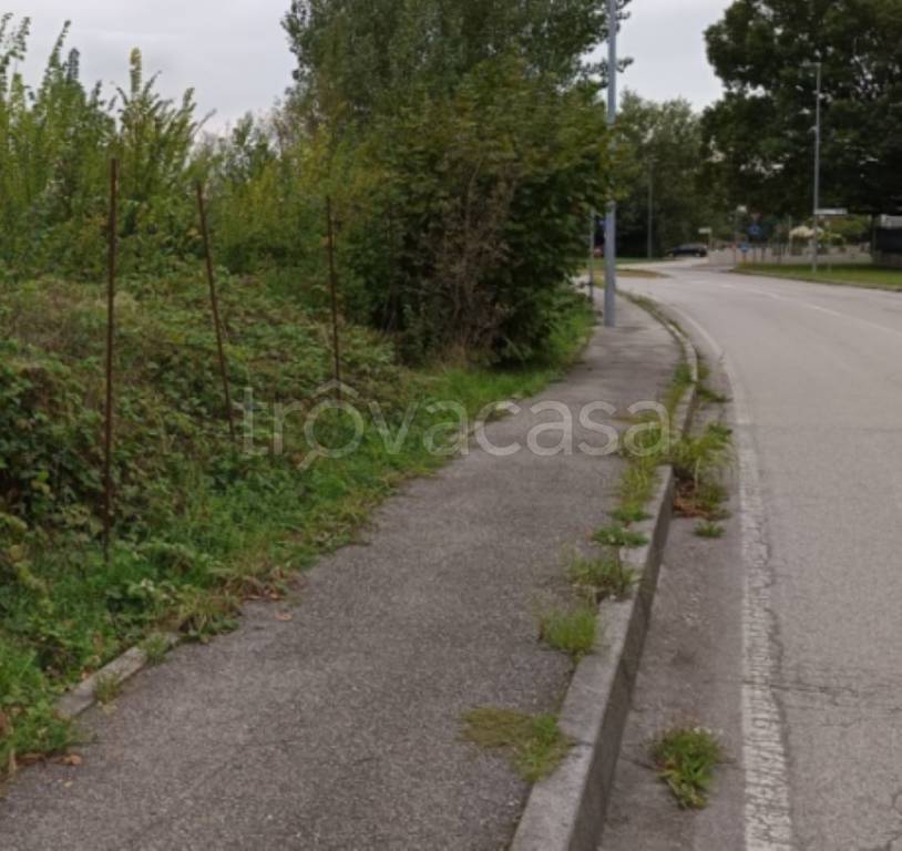 immagine annuncio 4 di 9