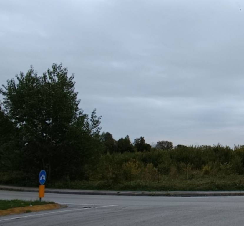 immagine annuncio 5 di 9