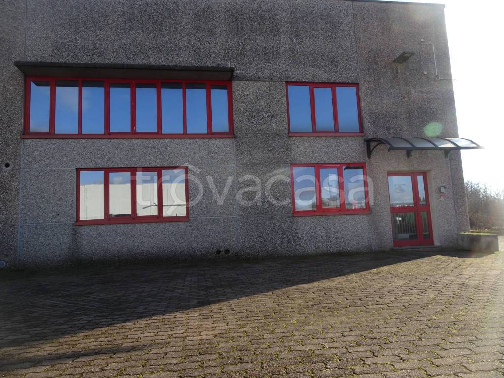 immagine annuncio 1 di 11