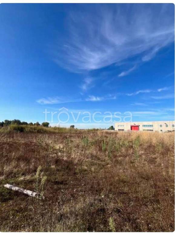 immagine annuncio 1 di 6