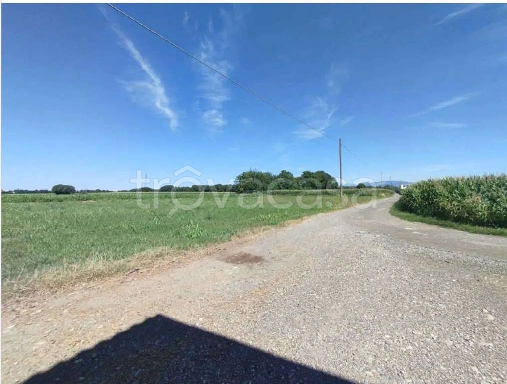 immagine annuncio 2 di 6