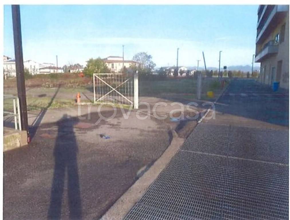 immagine annuncio 3 di 11