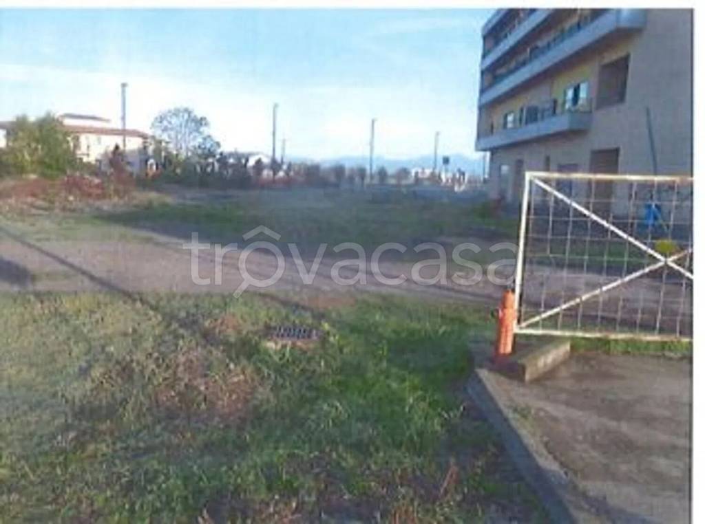 immagine annuncio 5 di 11