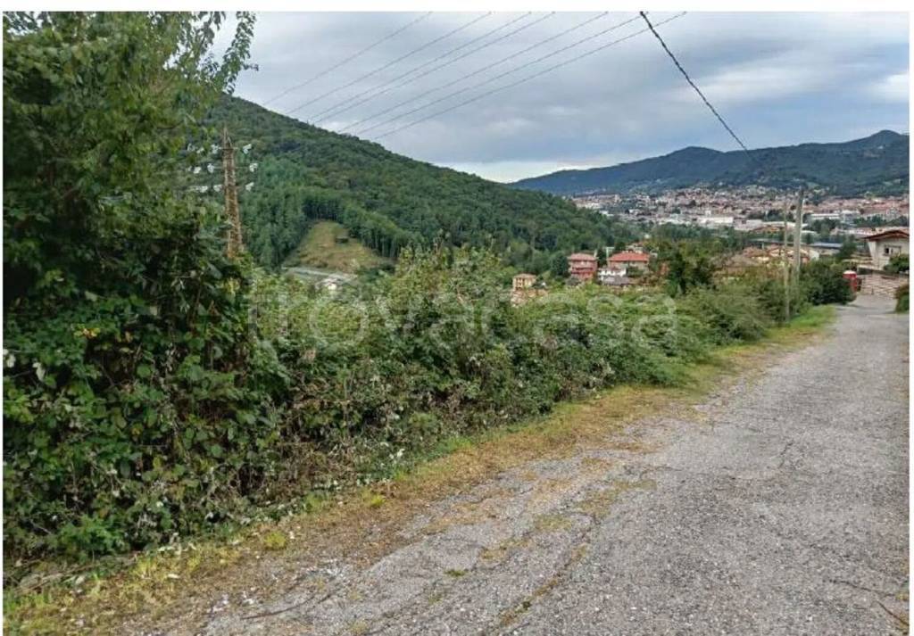 immagine annuncio 3 di 7