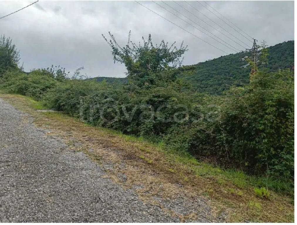 immagine annuncio 4 di 7