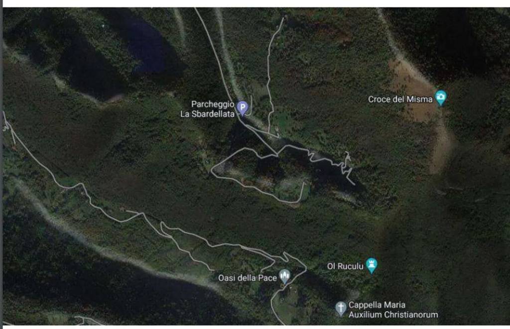 immagine annuncio 11 di 14