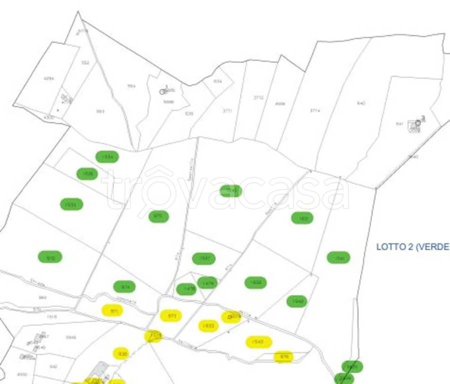 immagine annuncio 12 di 14