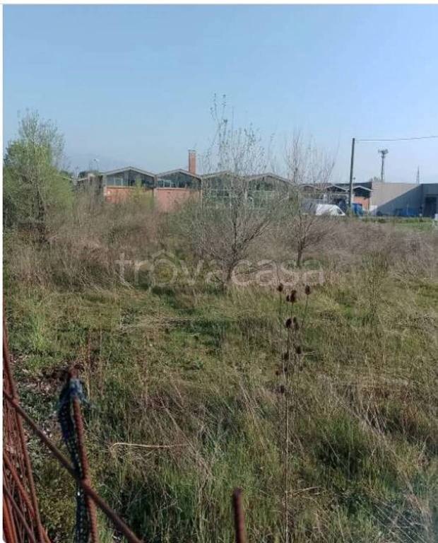 immagine annuncio 2 di 9