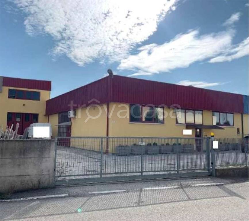 immagine annuncio 11 di 15