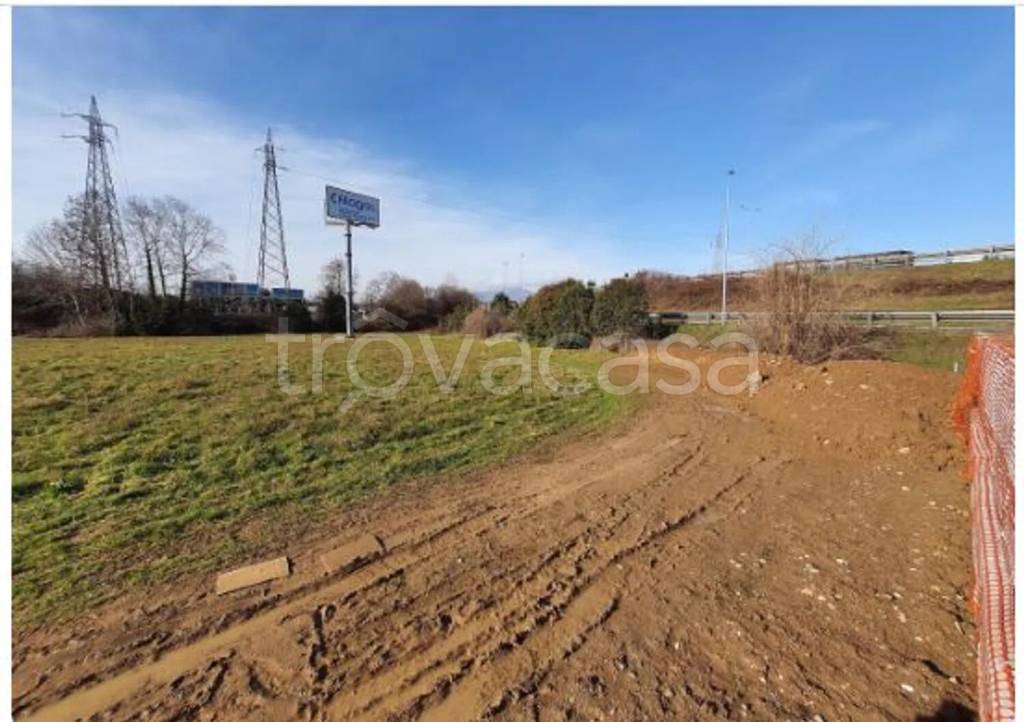 immagine annuncio 2 di 11