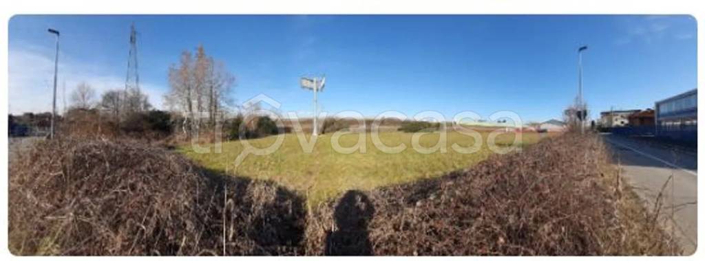 immagine annuncio 6 di 11