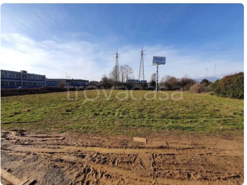 immagine annuncio 3 di 11