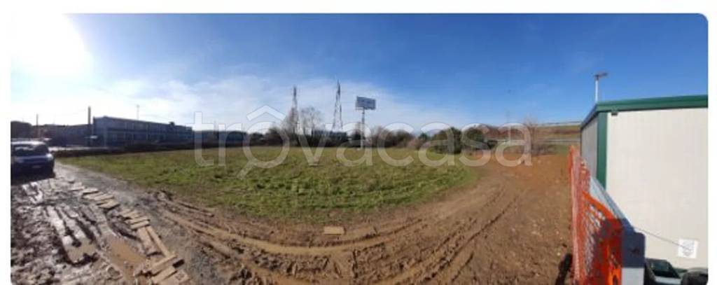 immagine annuncio 5 di 11