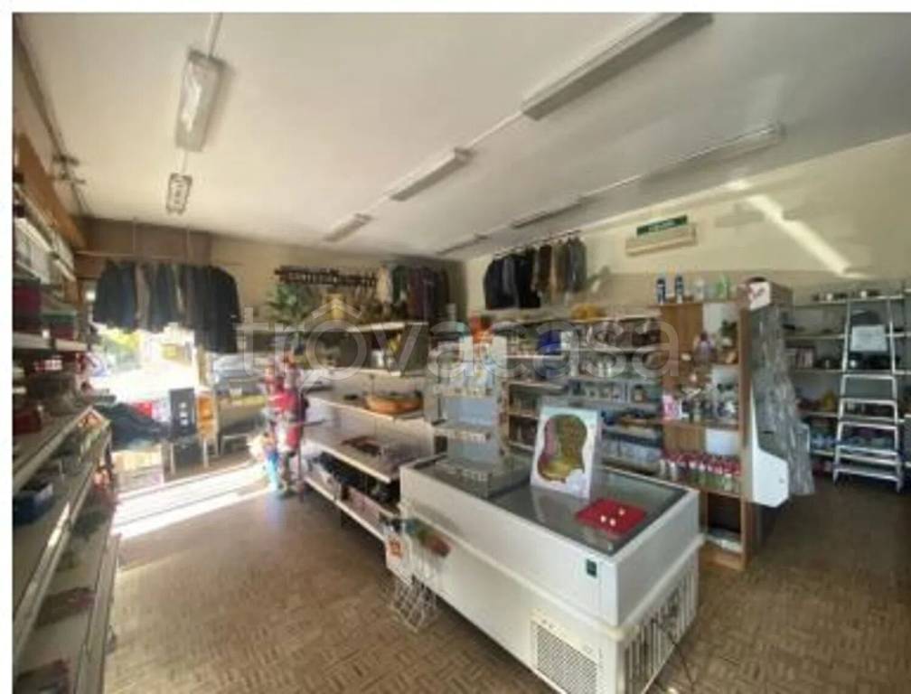 immagine annuncio 2 di 9