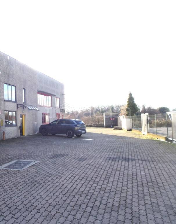 immagine annuncio 3 di 11