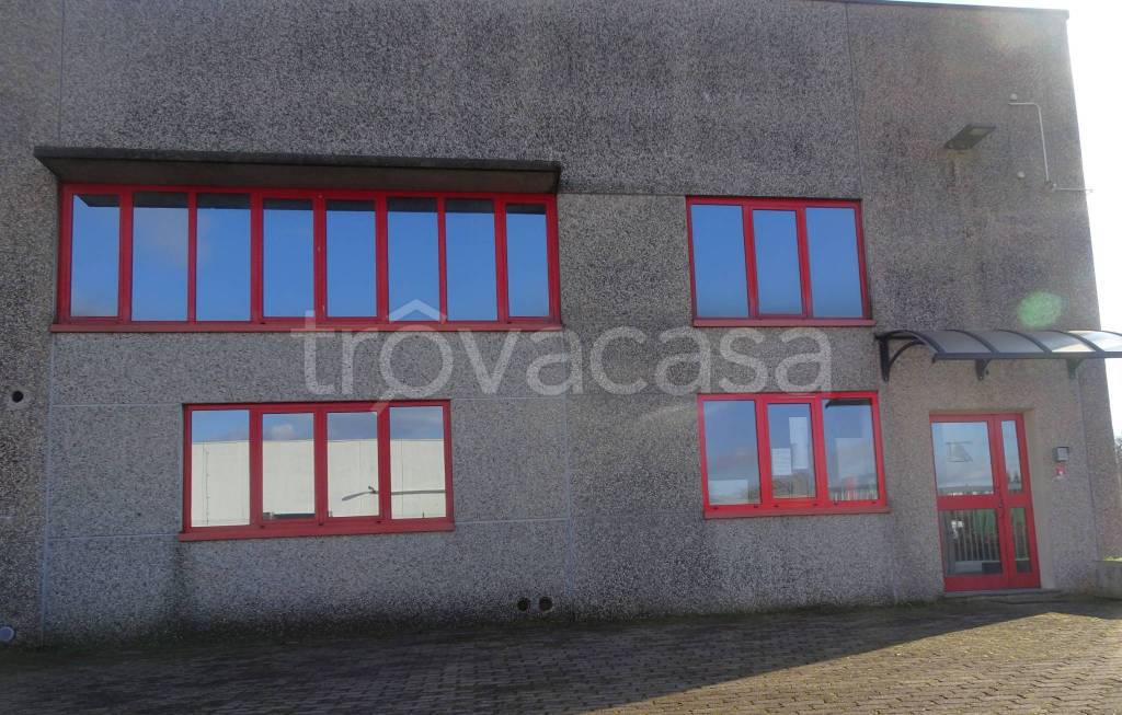 immagine annuncio 4 di 11